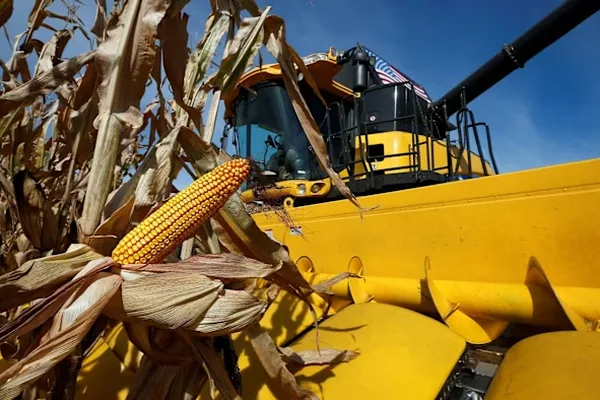 Corn market coverage in the Financial Times